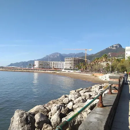 Experience * Salerno