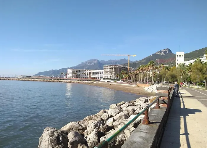 Experience * Salerno