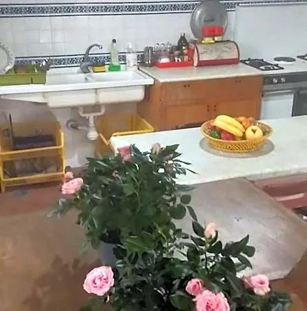 Experience 萨莱诺